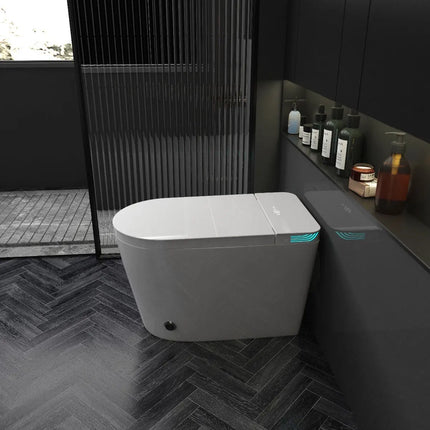 Cleo Milano Smart Bidet Toilet with Auto Open and Close Lid - Plumbing Market