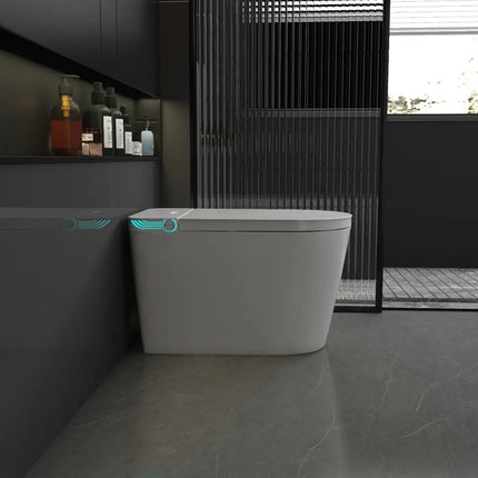 Cleo Milano Smart Bidet Toilet with Auto Open and Close Lid - Plumbing Market