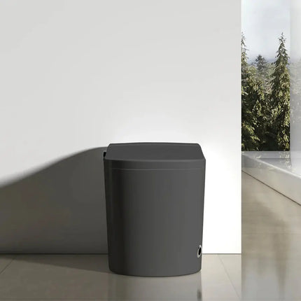 Cleo Smart Bidet Toilet with Auto Open and Close Lid - Plumbing Market