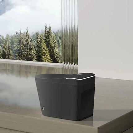 Cleo Smart Bidet Toilet with Auto Open and Close Lid - Plumbing Market