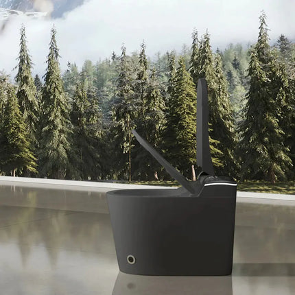 Cleo Smart Bidet Toilet with Auto Open and Close Lid - Plumbing Market