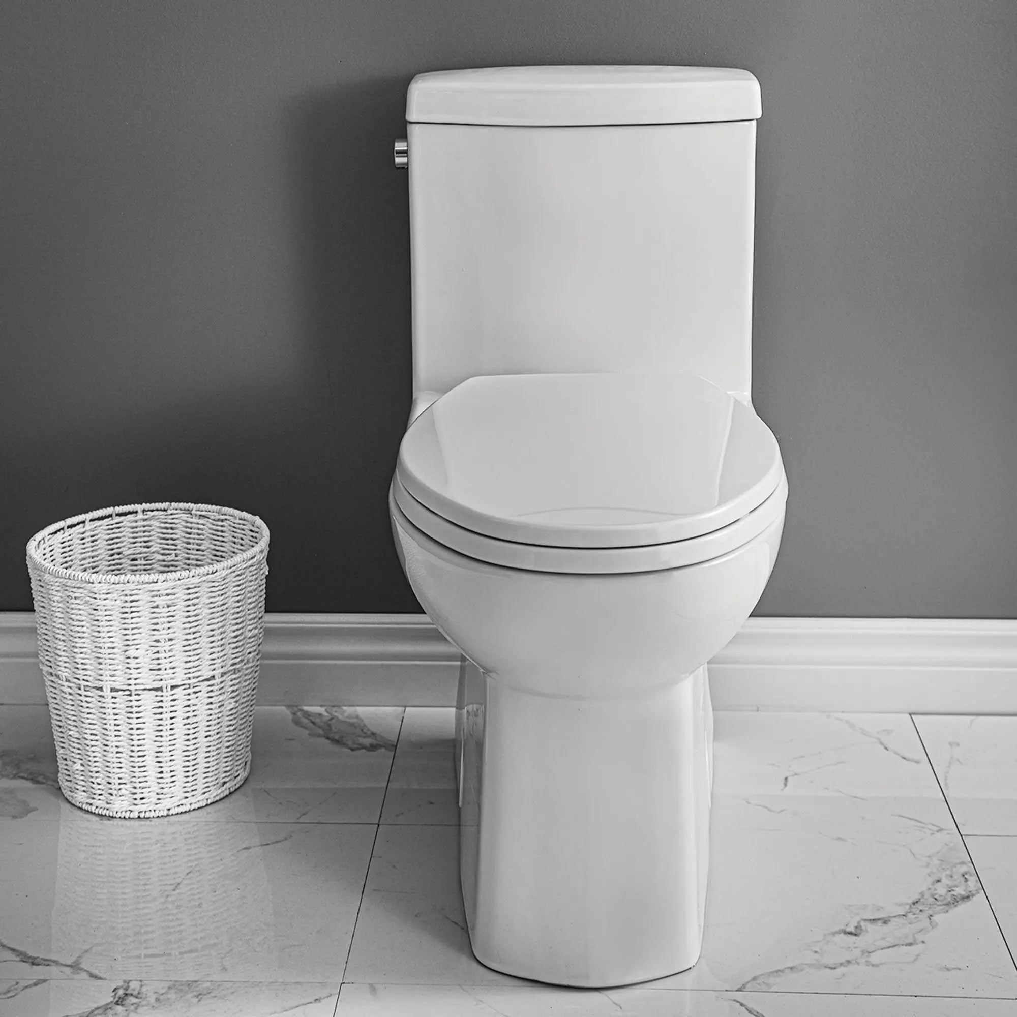 Contrac Wilton Elongated 3.0 LPF One Piece Toilet White Unlined Tank - Plumbing Market