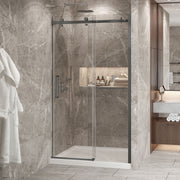 Zitta Bellini 2.0 Shower door 48", in alcove, in gunmetal DB24800ASTC31