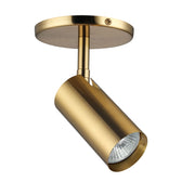 Dainolite 1 Light Aged Brass Halogen Spotlight
