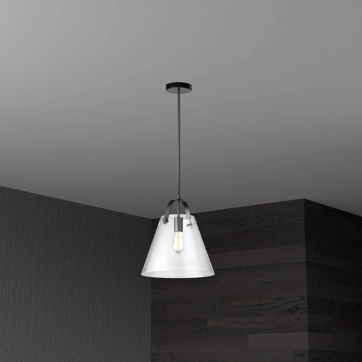 Dainolite 1 Light Incandescent Pendant Matte Black Finish with Clear Glass