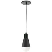 Dainolite 1 Light Incandescent Pendant Matte Black