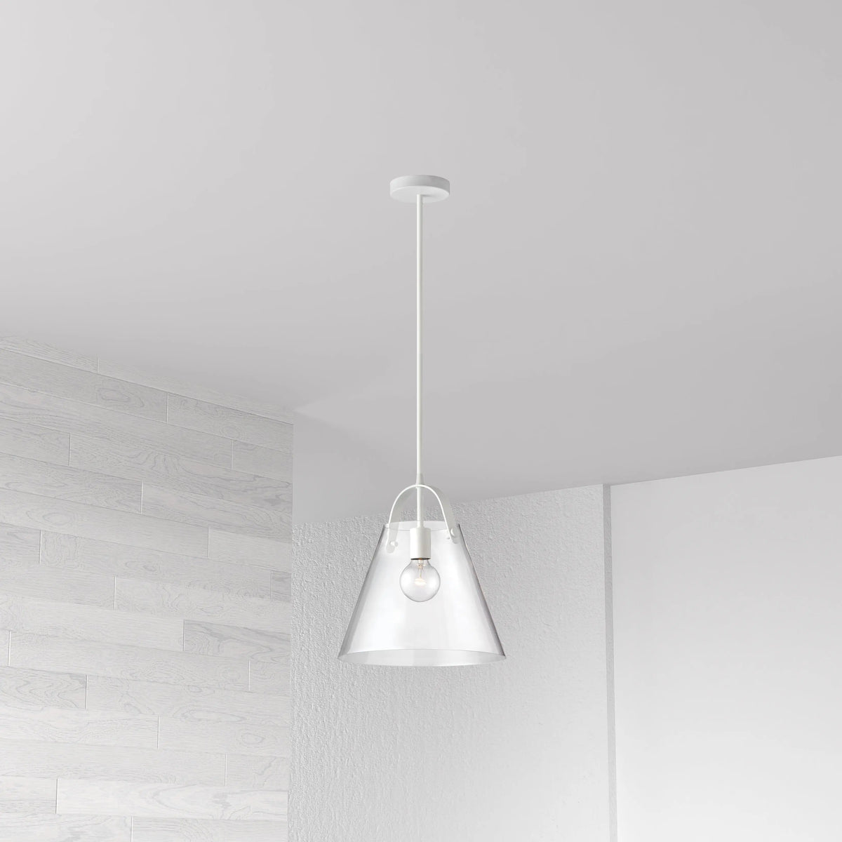 Dainolite 1 Light Incandescent Pendant Matte White Finish with Clear Glass