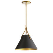 Dainolite 1 Light Incandescent Pendant, Aged Brass with Black Metal Shade