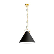 Dainolite 1 Light Incandescent Pendant, Aged Brass with Black Shade