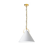 Dainolite 1 Light Incandescent Pendant, Aged Brass with White Shade