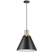 Dainolite 1 Light Incandescent Pendant, Matte Black w/ Aged Brass Accent
