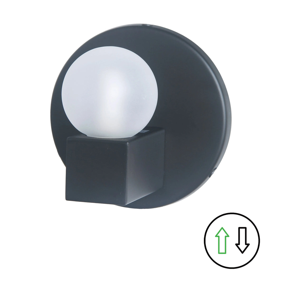 Dainolite 1 Light Matte Black Vanity w/ Frosted Glass