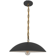 Dainolite 1 Light Pendant in Matte Black w/ Aged Brass Chain