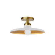 Dainolite 1 Light Semi-Flush Mount, Matte White and Aged Brass