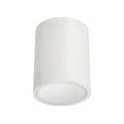 Dainolite 12W Flush Mount, Matte White