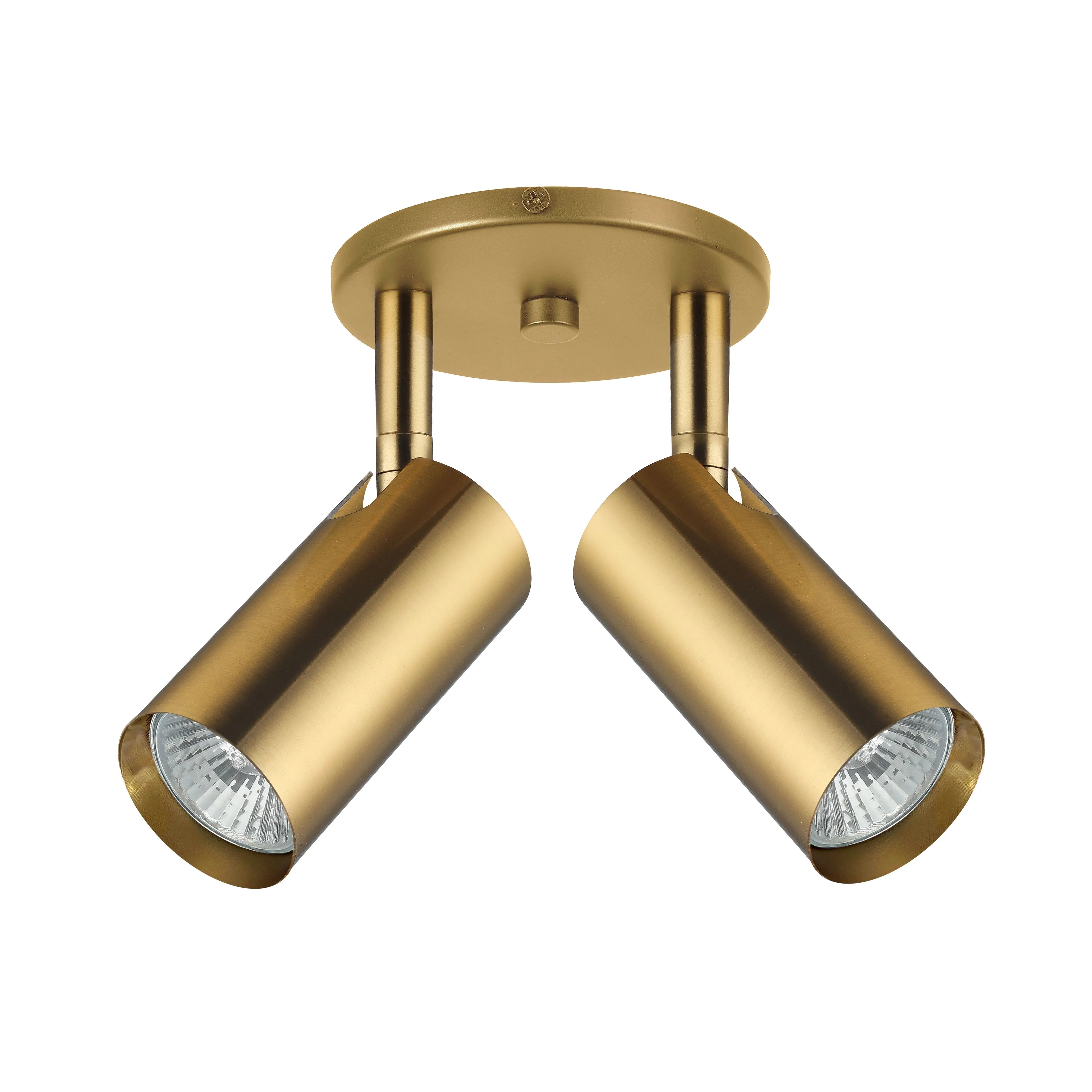 Dainolite 2 Light Spot Light in Aged Brass