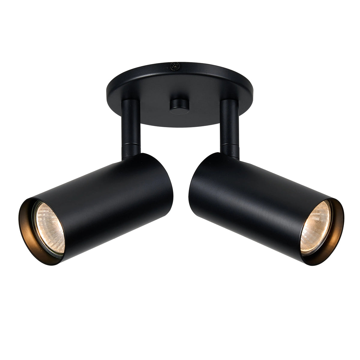 Dainolite 2 Light Spot Light in Matte Black