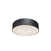 Dainolite 20W Flush Mount in Matte Black w/ Alabaster Diffuser