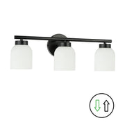 Dainolite 3 Light Matte Black Vanity w/ Opal Glass