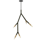 Dainolite 5 Light Incandescent Pendant in Matte Black / Aged Brass