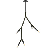 Dainolite 5 Light Incandescent Pendant in Matte Black