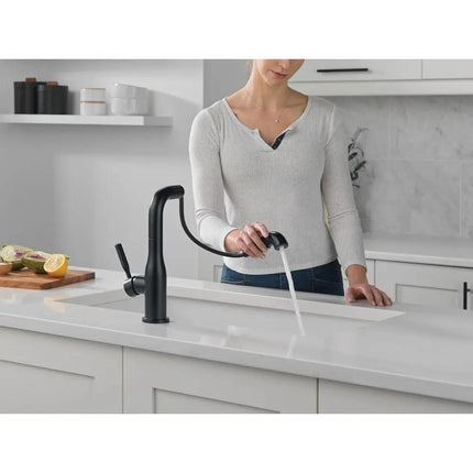 Delta Almari Single Handle Pull-Out Kitchen Faucet 16943 - Plumbing Market