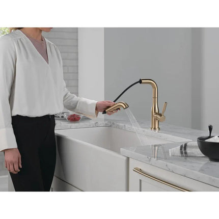 Delta Almari Single Handle Pull-Out Kitchen Faucet 16943 - Plumbing Market