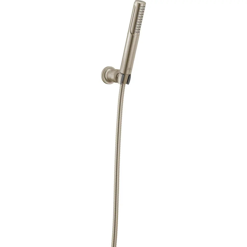 Delta Bonacci 2-Setting Hand Shower with ProClean Spray - Wall Mount 55537 - Stainless Steel