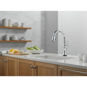 Delta Cassidy Touchless Kitchen Pulldown 9197TL