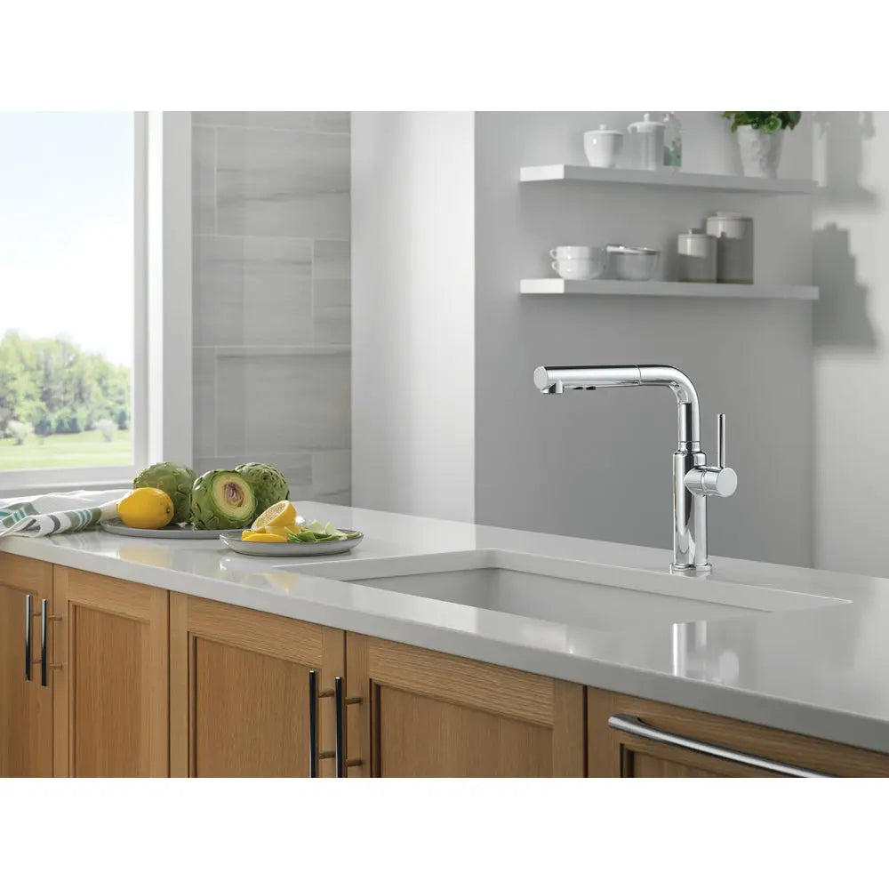 Delta Daneri Single Handle Pull-Out Kitchen Faucet 16879