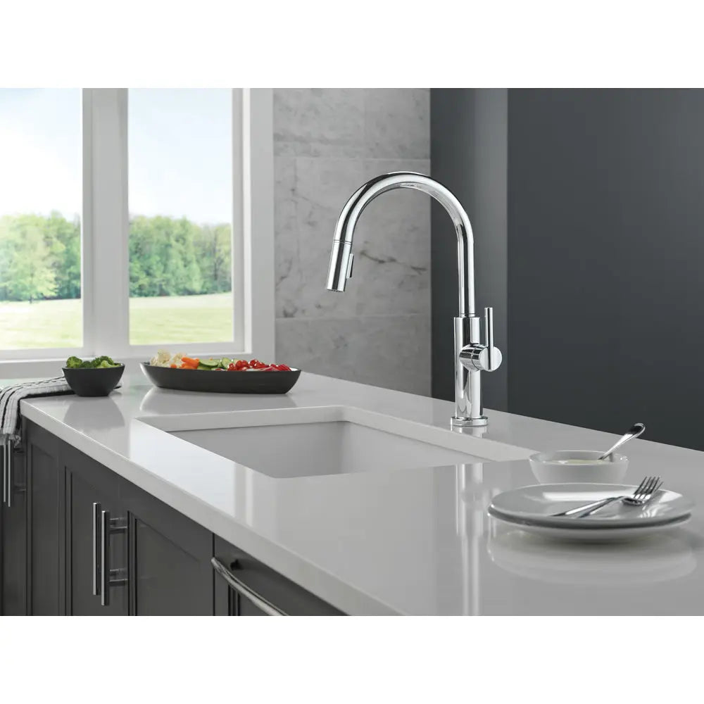 Delta Nicoli J Spout 19867LF
