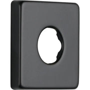 Delta Shower Flange - Tub And Shower RP51034BL - Plumbing Market
