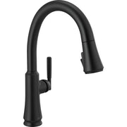 Delta Single Handle Pull-Down Shieldspray 9179-BL-DST - Plumbing Market