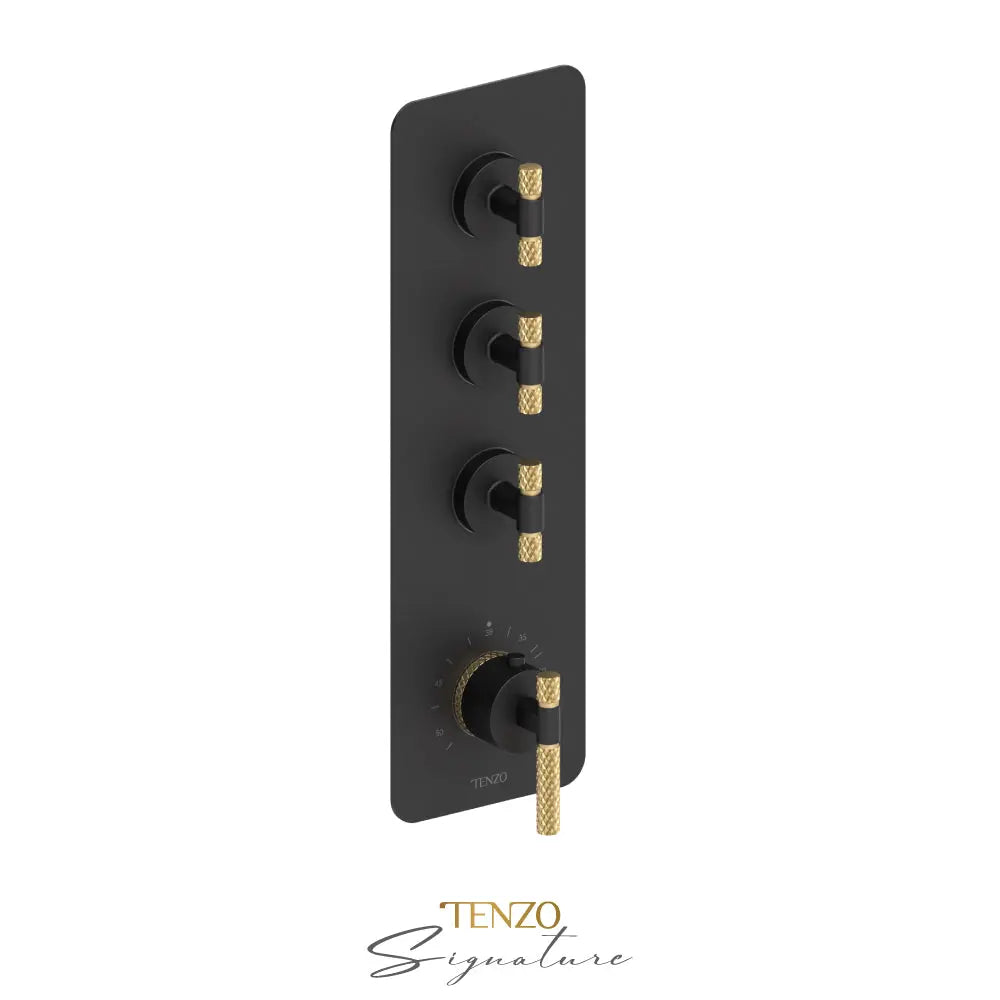 EXTENZA Thermostatic 3 functions - Plumbing Market