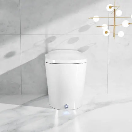 Ecoway Erie Integrated Smart Toilet With Built-in Bidet - Plumbing Market