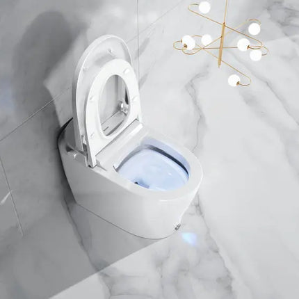 Ecoway Erie Integrated Smart Toilet With Built-in Bidet - Plumbing Market