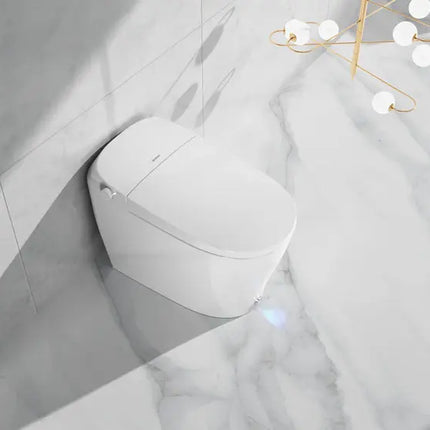 Ecoway Erie Integrated Smart Toilet With Built-in Bidet - Plumbing Market