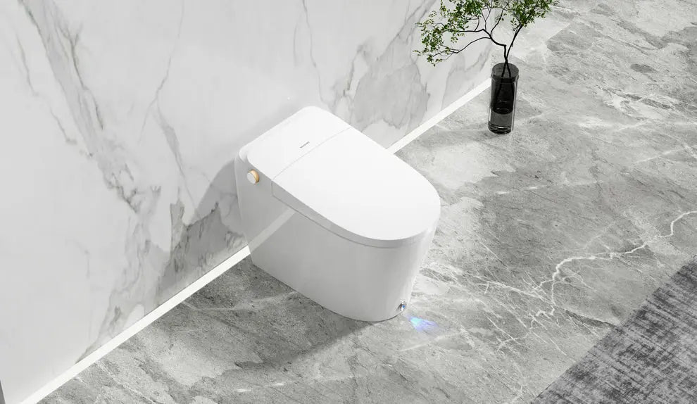 Ecoway Huron Integrated Smart Toilet With Built-in Bidet - Plumbing Market