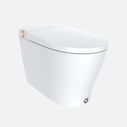 Ecoway Huron Integrated Smart Toilet With Built-in Bidet - Plumbing Market