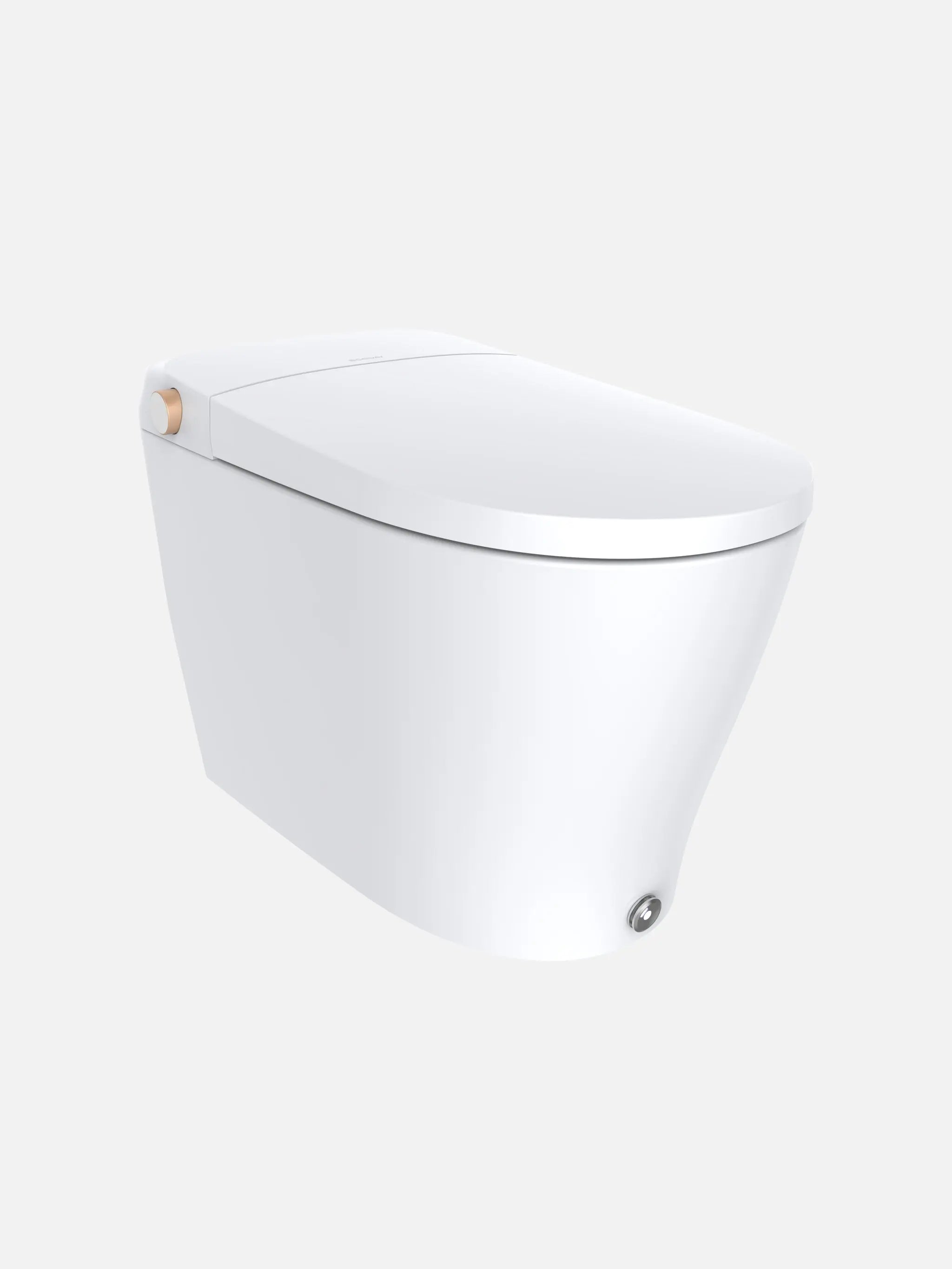 Ecoway Huron Integrated Smart Toilet With Built-in Bidet - Plumbing Market