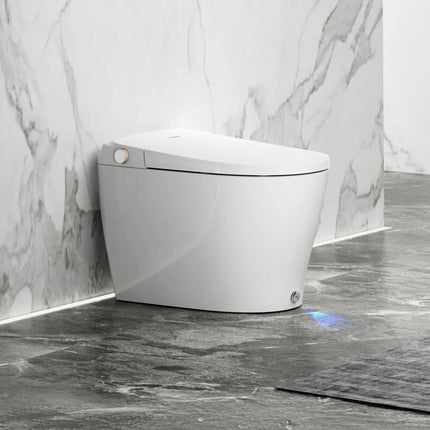 Ecoway Huron Integrated Smart Toilet With Built-in Bidet - Plumbing Market