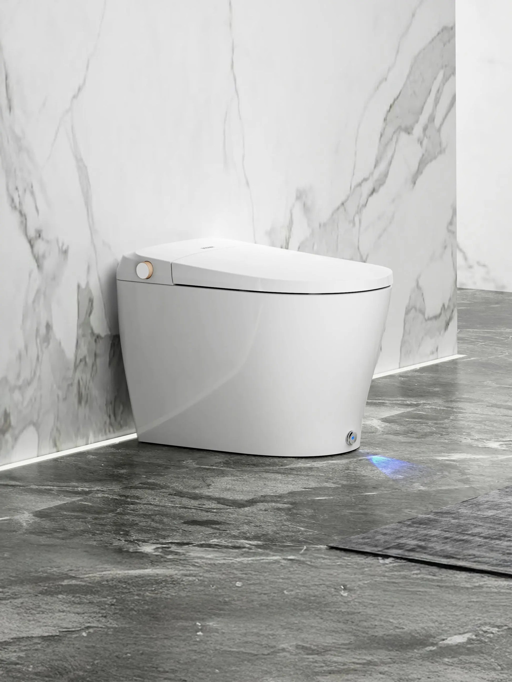 Ecoway Huron Integrated Smart Toilet With Built-in Bidet - Plumbing Market