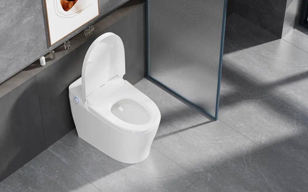 Ecoway Mono Integrated Smart Toilet With Built-in Bidet - Plumbing Market