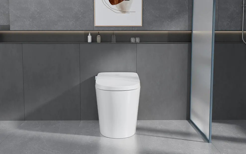 Ecoway Mono Integrated Smart Toilet With Built-in Bidet - Plumbing Market
