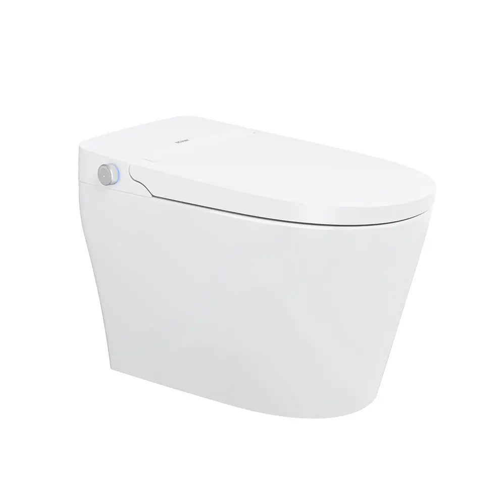 Ecoway Mono Integrated Smart Toilet With Built-in Bidet - Plumbing Market