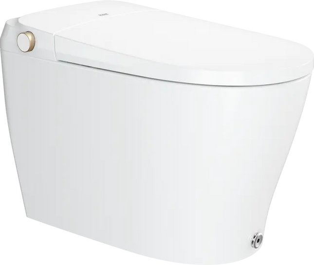 Ecoway Taheo Integrated Smart Toilet With Built-in Bidet - Plumbing Market