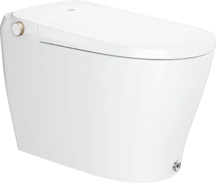 Ecoway Taheo Integrated Smart Toilet With Built-in Bidet - Plumbing Market