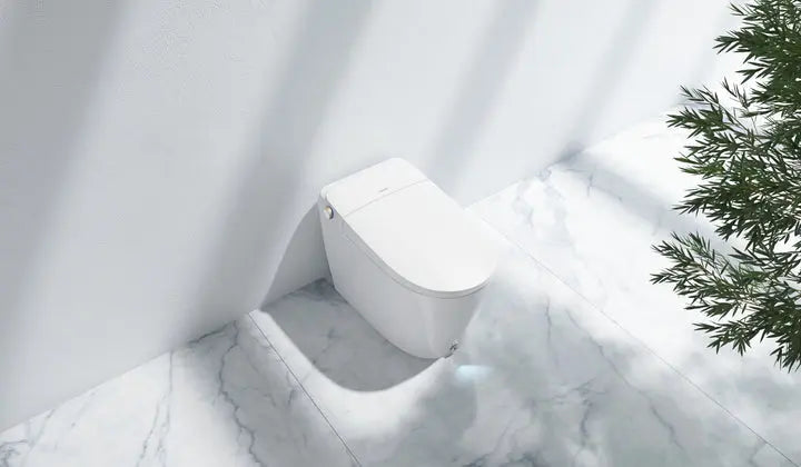Ecoway Taheo Integrated Smart Toilet With Built-in Bidet - Plumbing Market