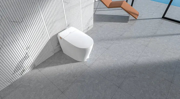 Ecoway Taheo Integrated Smart Toilet With Built-in Bidet - Plumbing Market