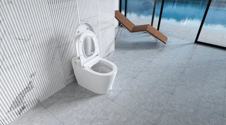 Ecoway Taheo Integrated Smart Toilet With Built-in Bidet - Plumbing Market